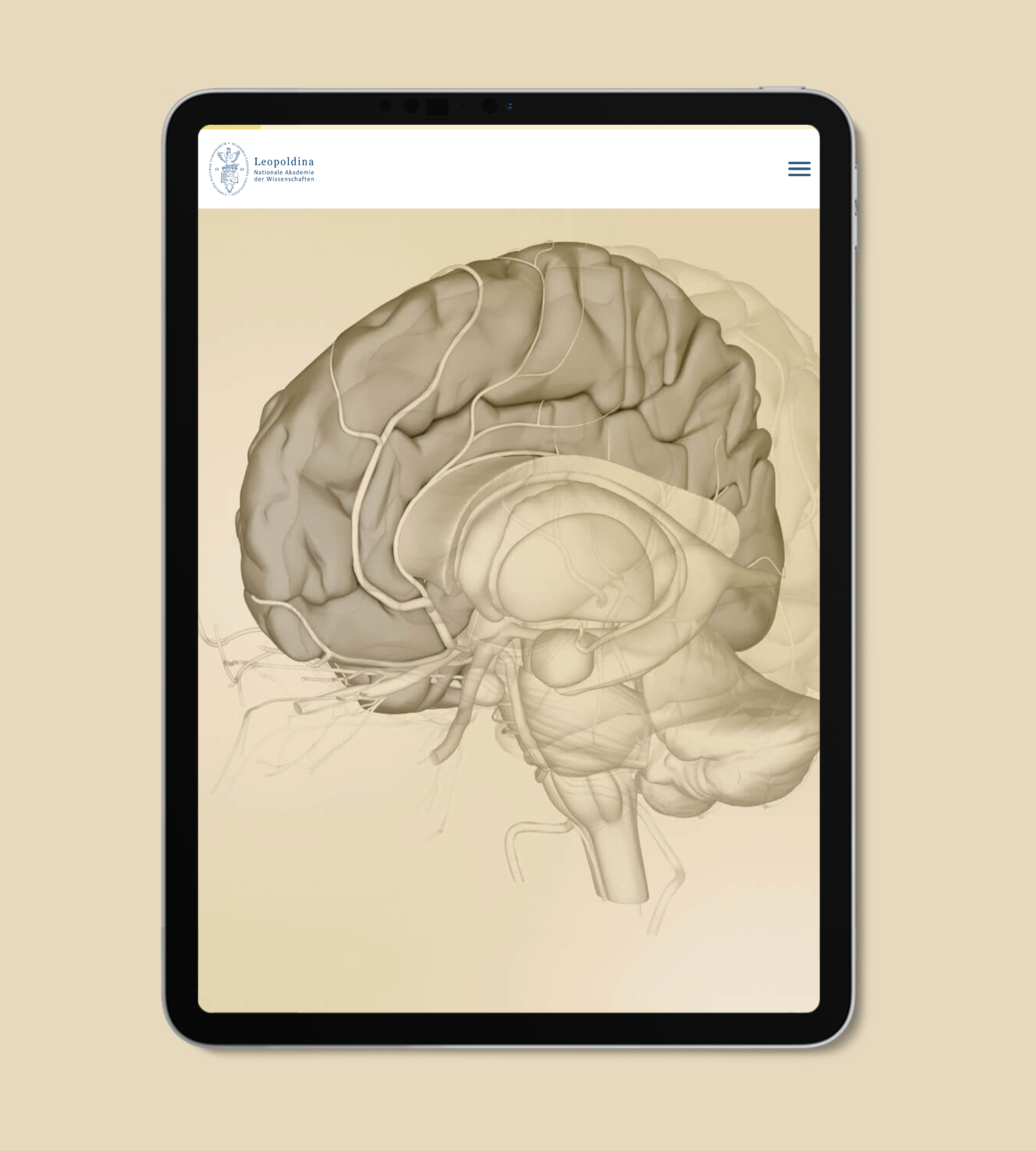 Der Startbildschirm des digitalen Dossiers zum Thema "Hirnorganoide". Im Hintergrund das Bild eines Gehirns.