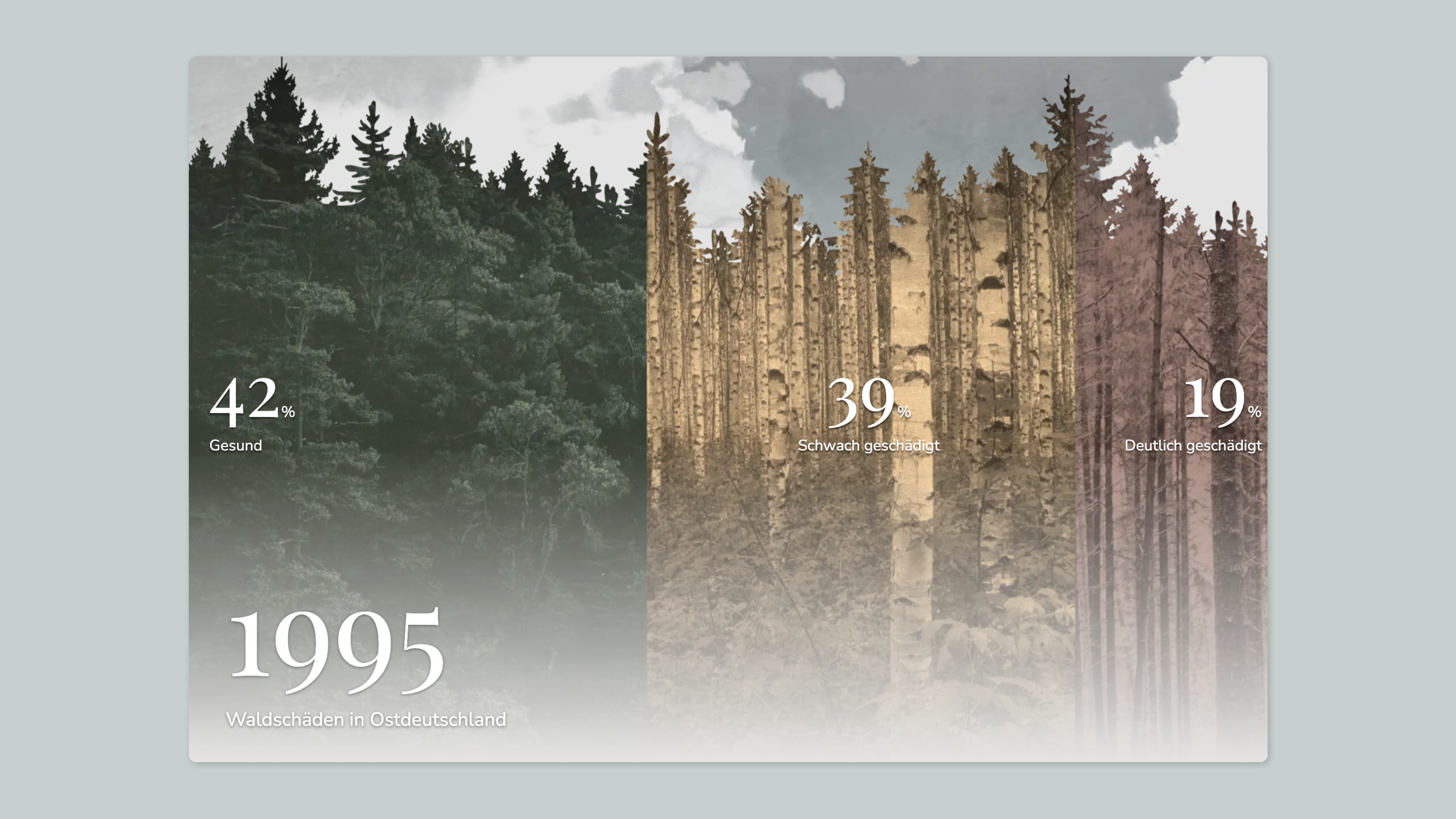 A bar chart using a forest as its background illustrates the data of the forest damage from 1995.